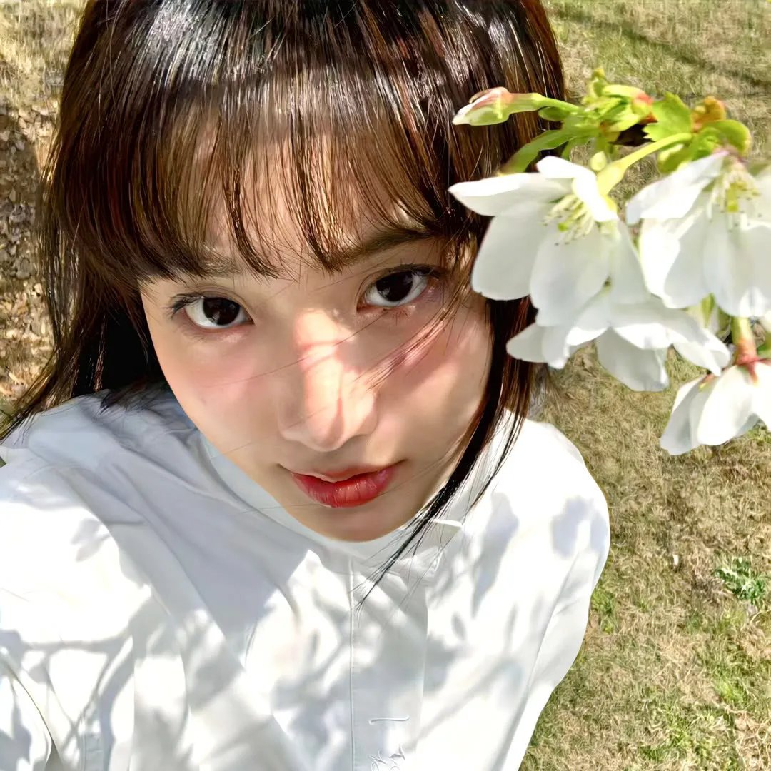 圣诞精灵