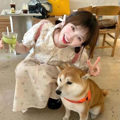 秦巴之恋