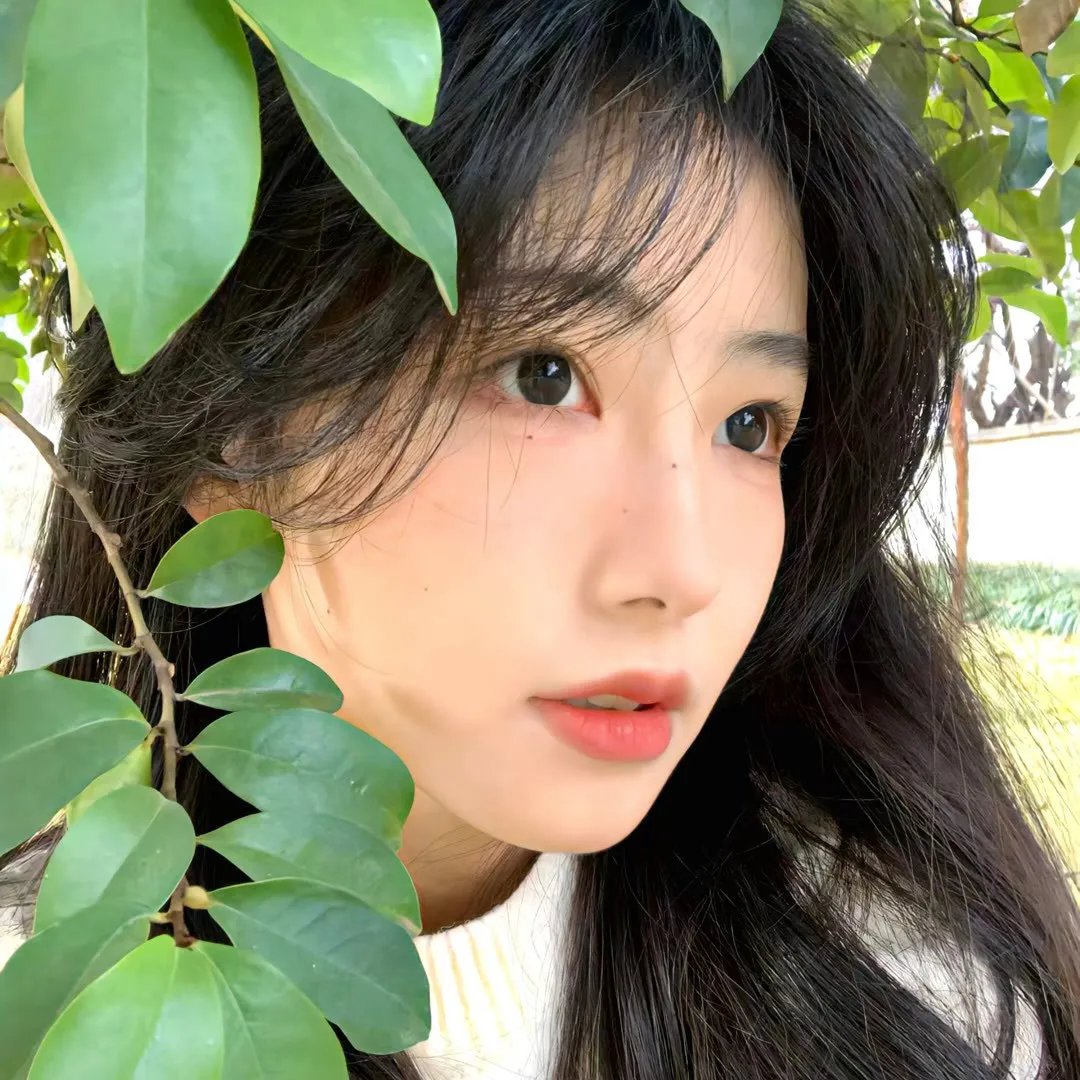 轮廓中的真相